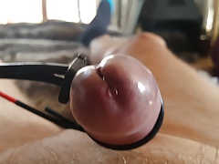 Precum  closeup