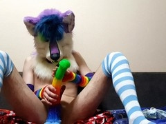 Adorable pet takes a thick dildo in his ass