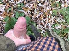 rshlight dante woods jek