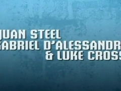 Breed and Seed 1
