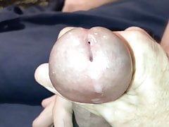 Pre-Cum and Orgasm