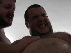 Spanish Bears Bukkake group-sex