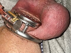 Close up flat chastity cage with urethral plug play