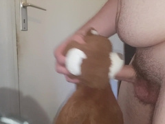 J'encule La Bouche De Mon ours En Peluche