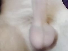 Cock in slow motion