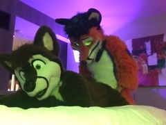 Fursuit Hook-Up, MasterkennyG and Felix