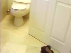 Tight Ass Dude Gets Pounded Doogy Style In The Bathroom With Paul Morgan