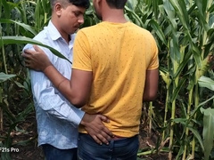 Indian Gay - Today Collage Boy & College Teacher I Saw A Corn Field Side Of The Forest So I Enjoyed Going To The Corn Field
