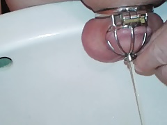 peeing in chastity with a hollow urethral plug